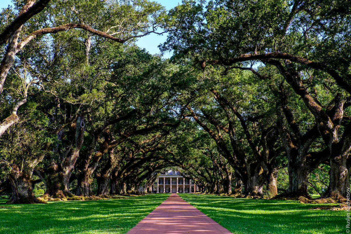 Louisiana escourts