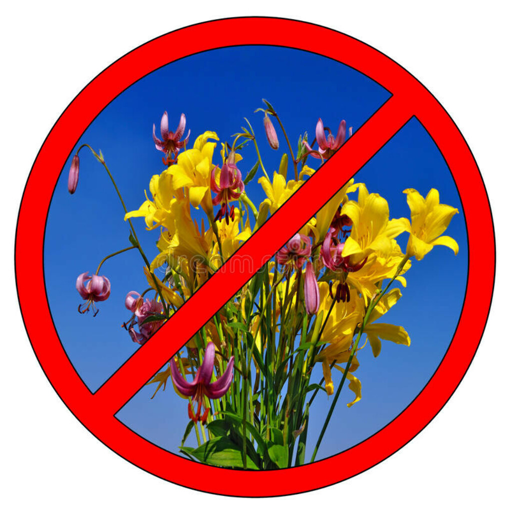 Знак не рвать цветы