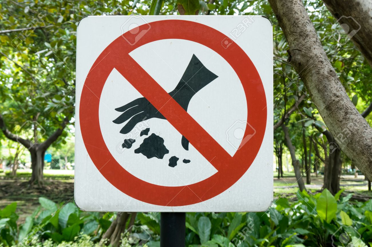 Запрещающие таблички в лесу