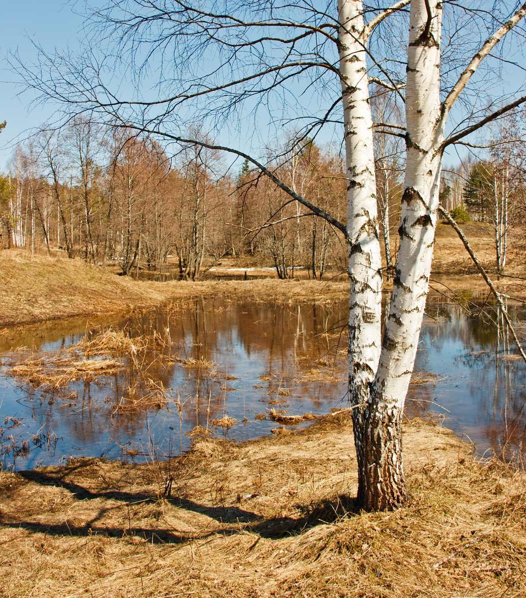 Апрельский пейзаж картинки