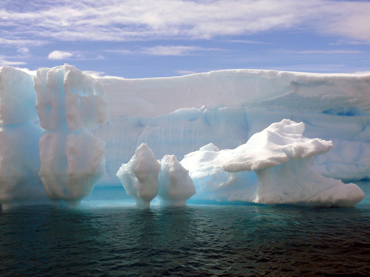 Природа Антарктиды