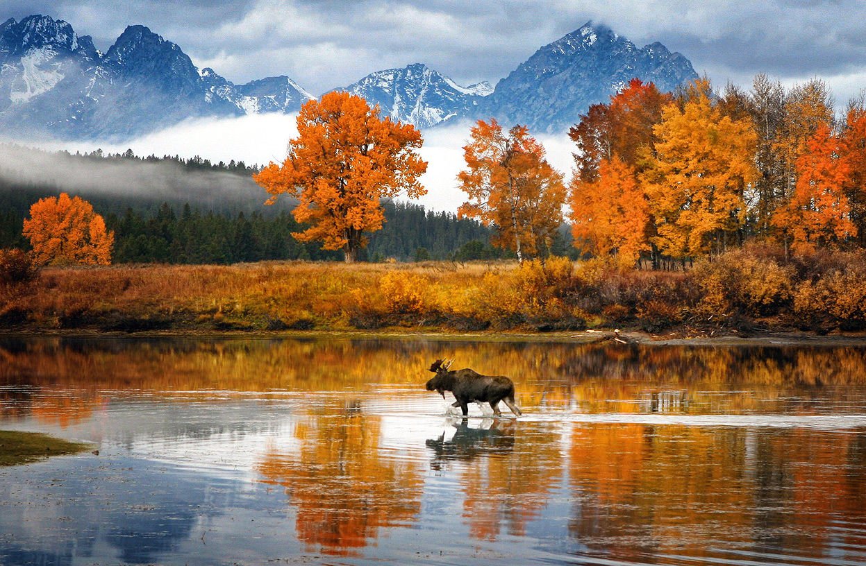 Осень Фото Красивые Природа