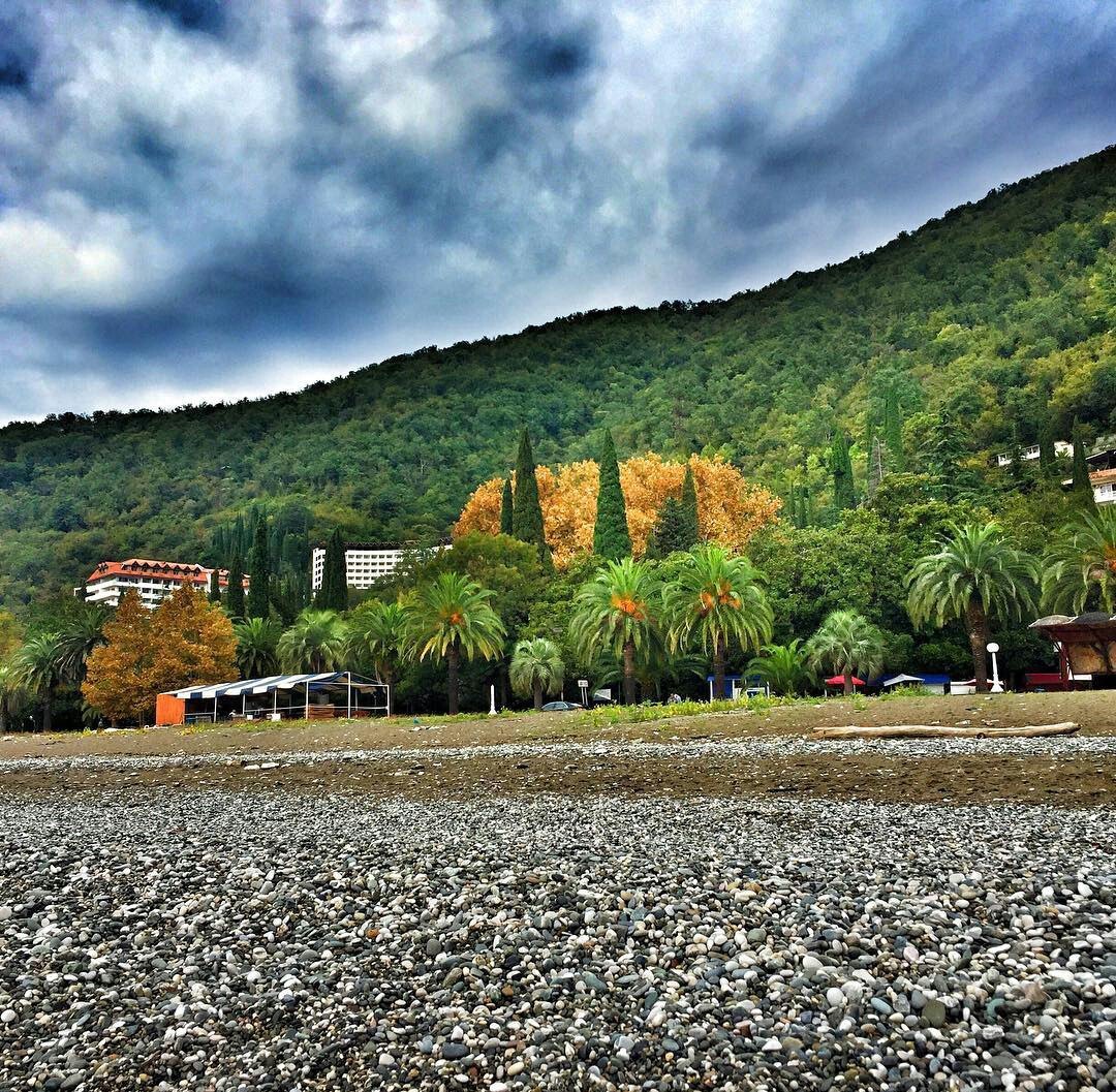 Гагры Абхазия природа