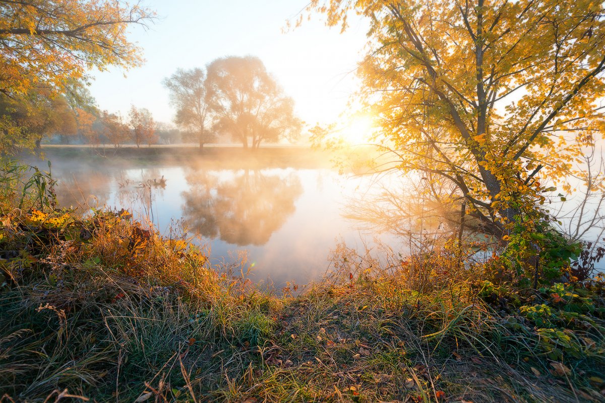 ноябрь картинки красивые природа доброе утро