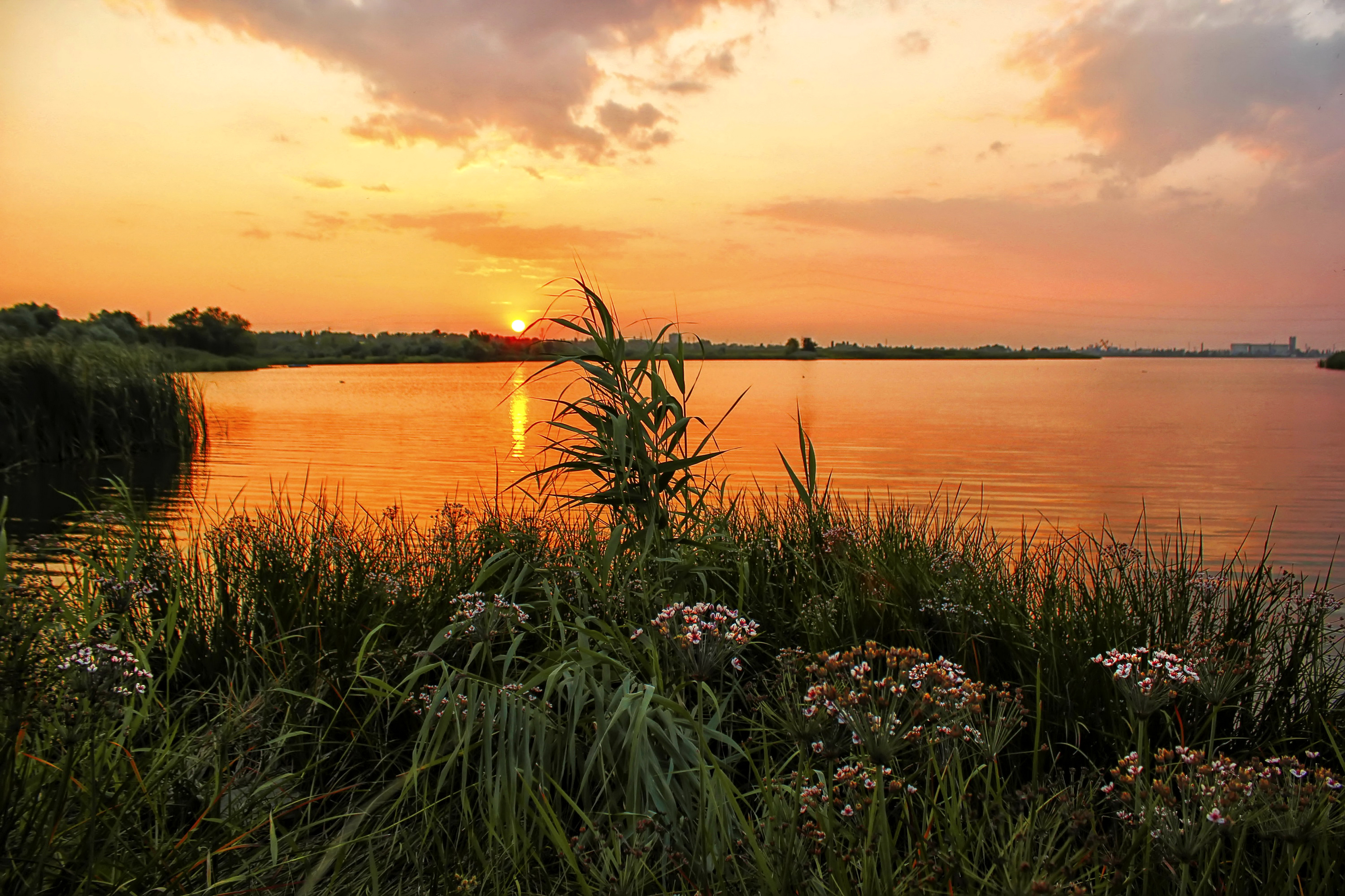 Природа летом рассвет