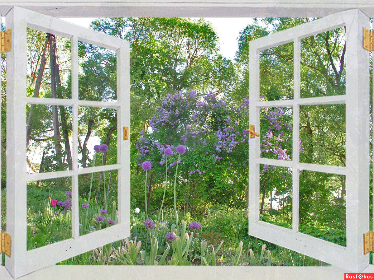 Открытое окно в сад