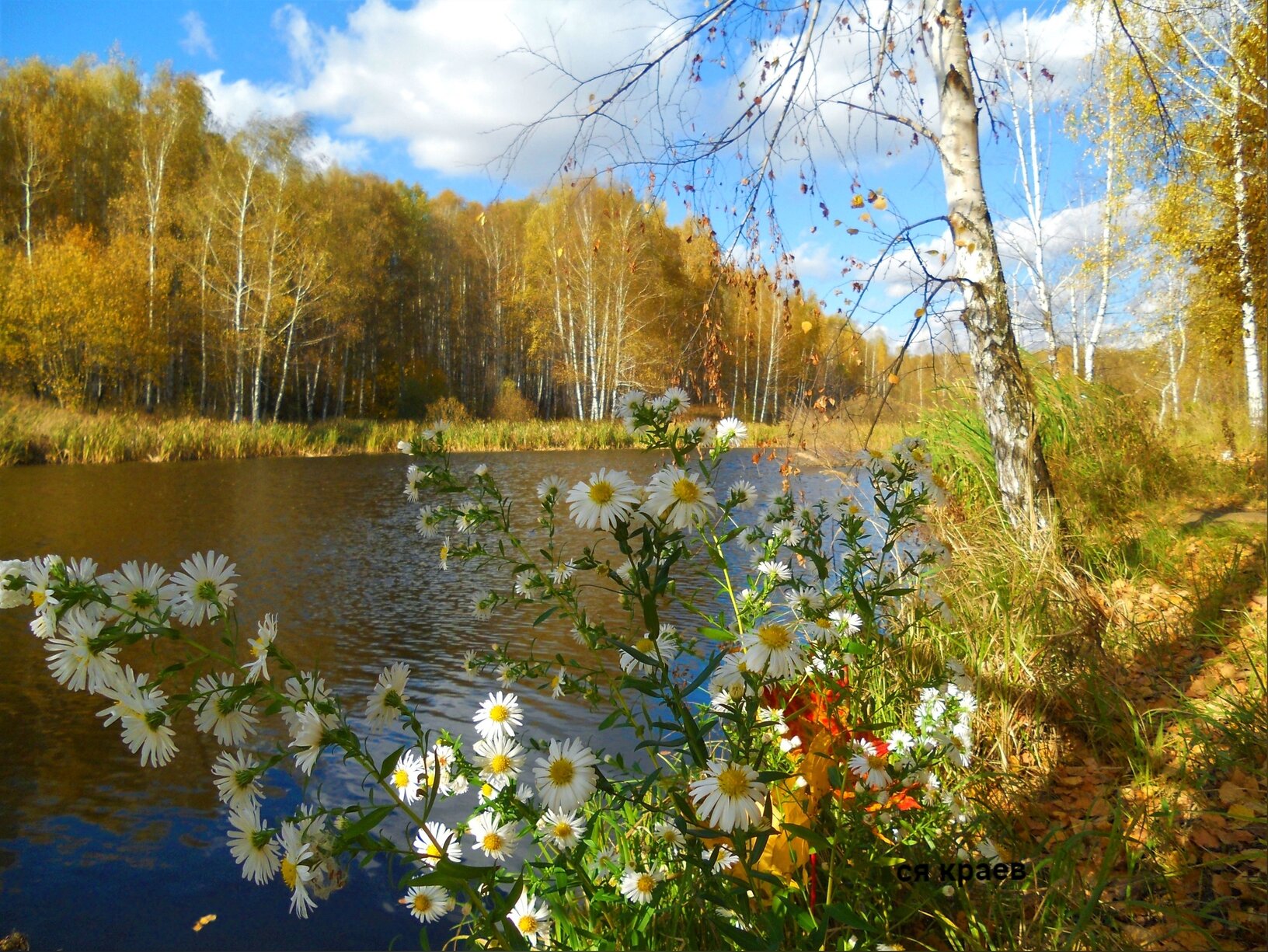 Природа Рязанского края