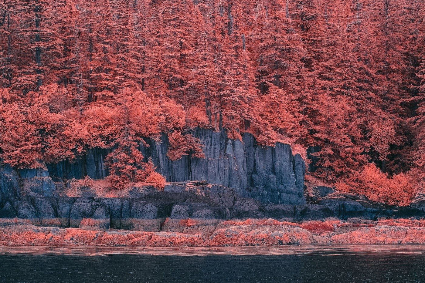 Инфракрасные снимки природы