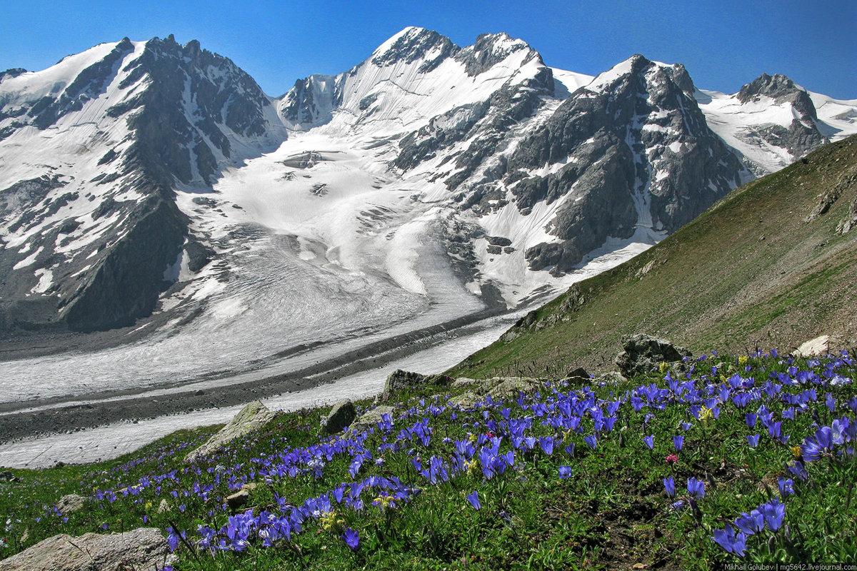 фото горы кавказа в хорошем качестве