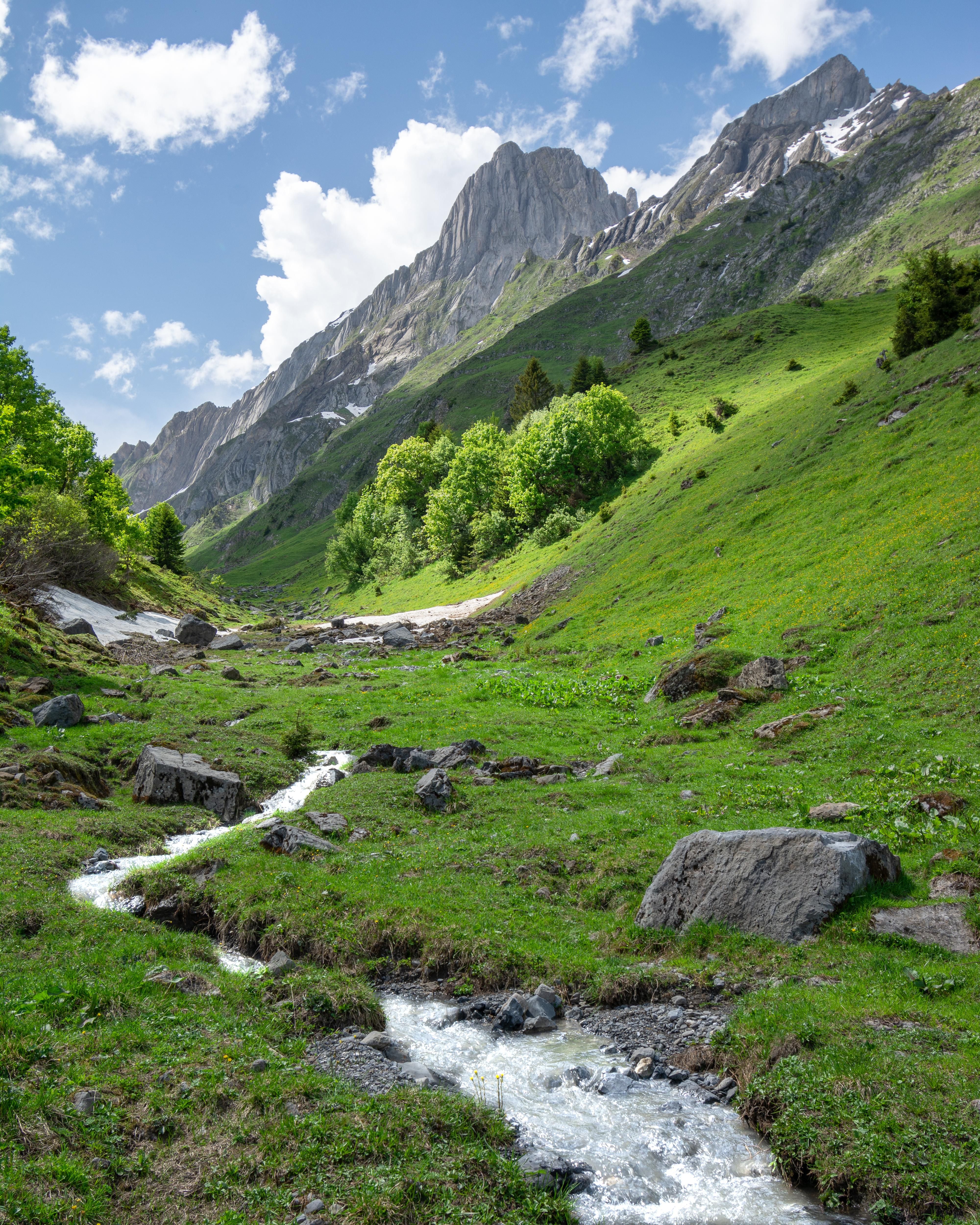 Природа горы Кавказа