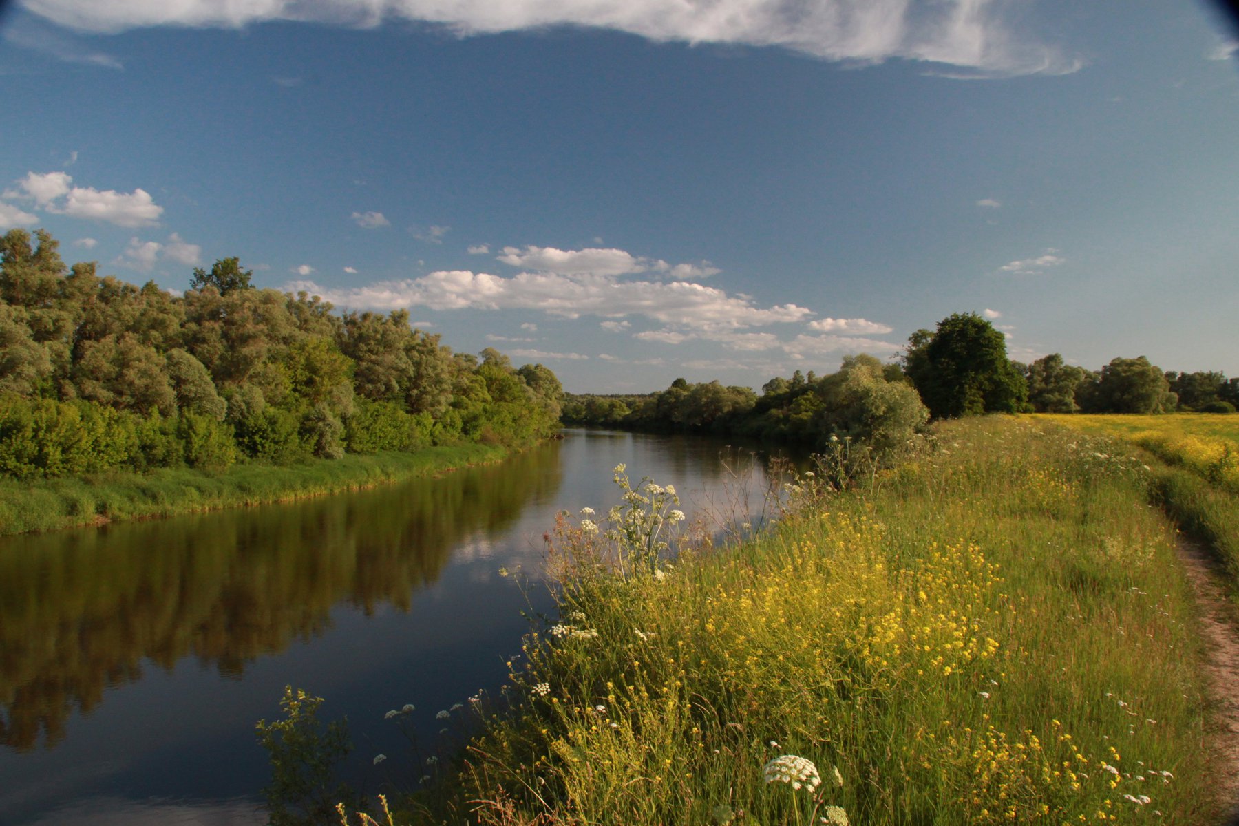 Река Жиздра Калужская