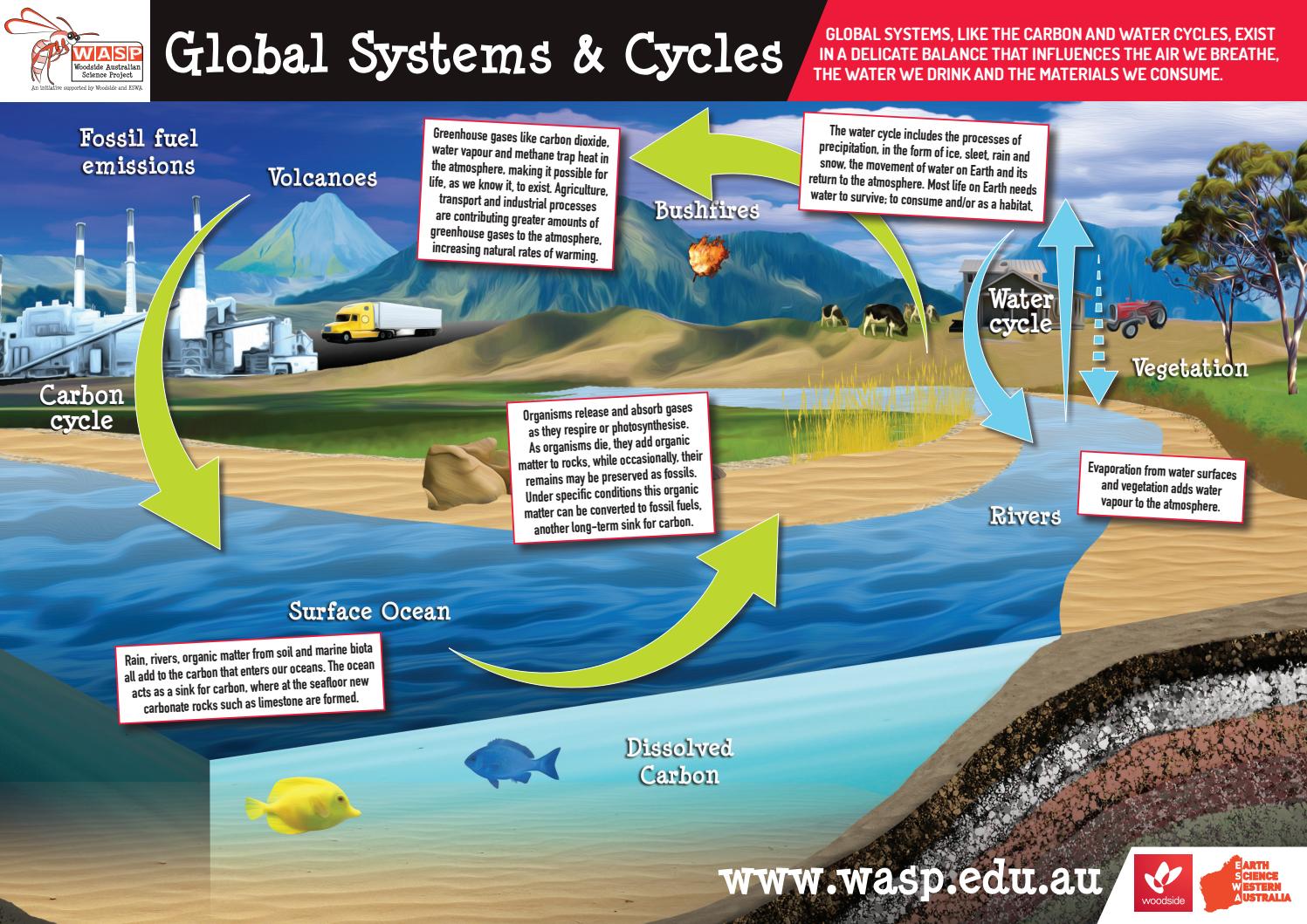 Diagram below shows the Water Cycle