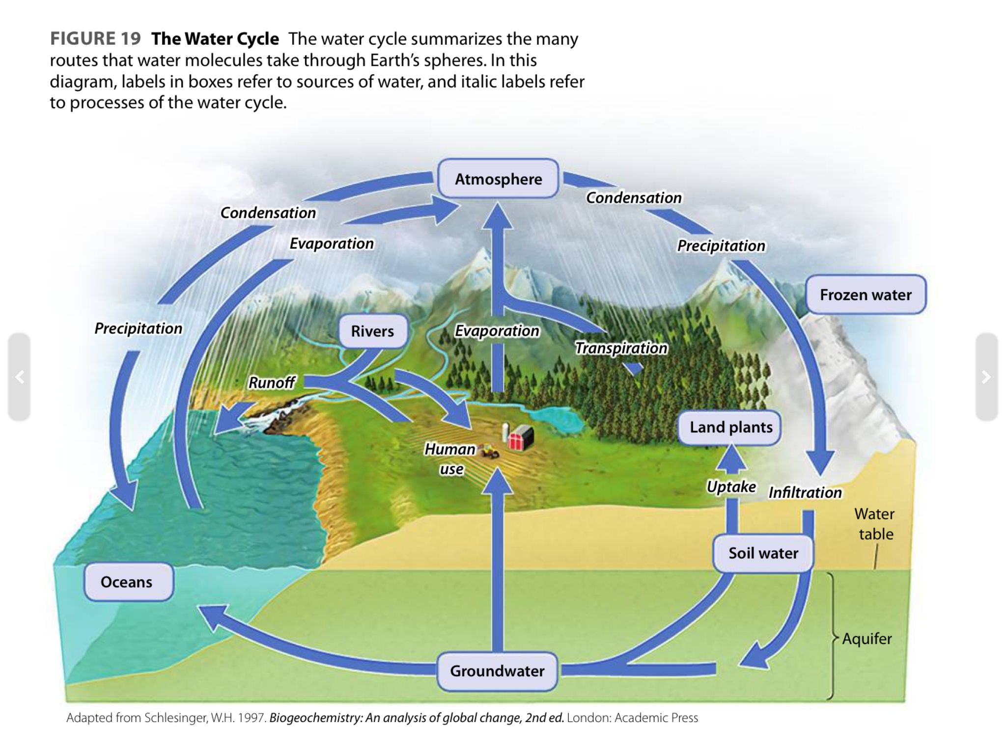 Water Cycle diagram