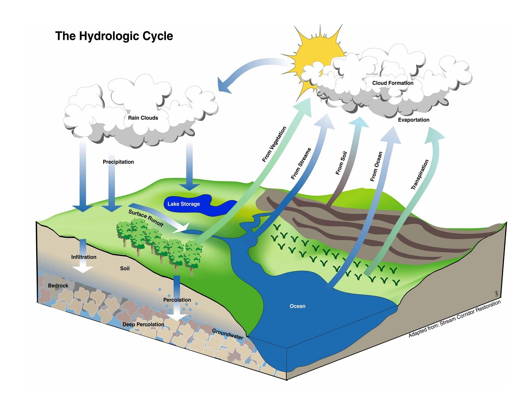 Схема гидрологический круговорот воды
