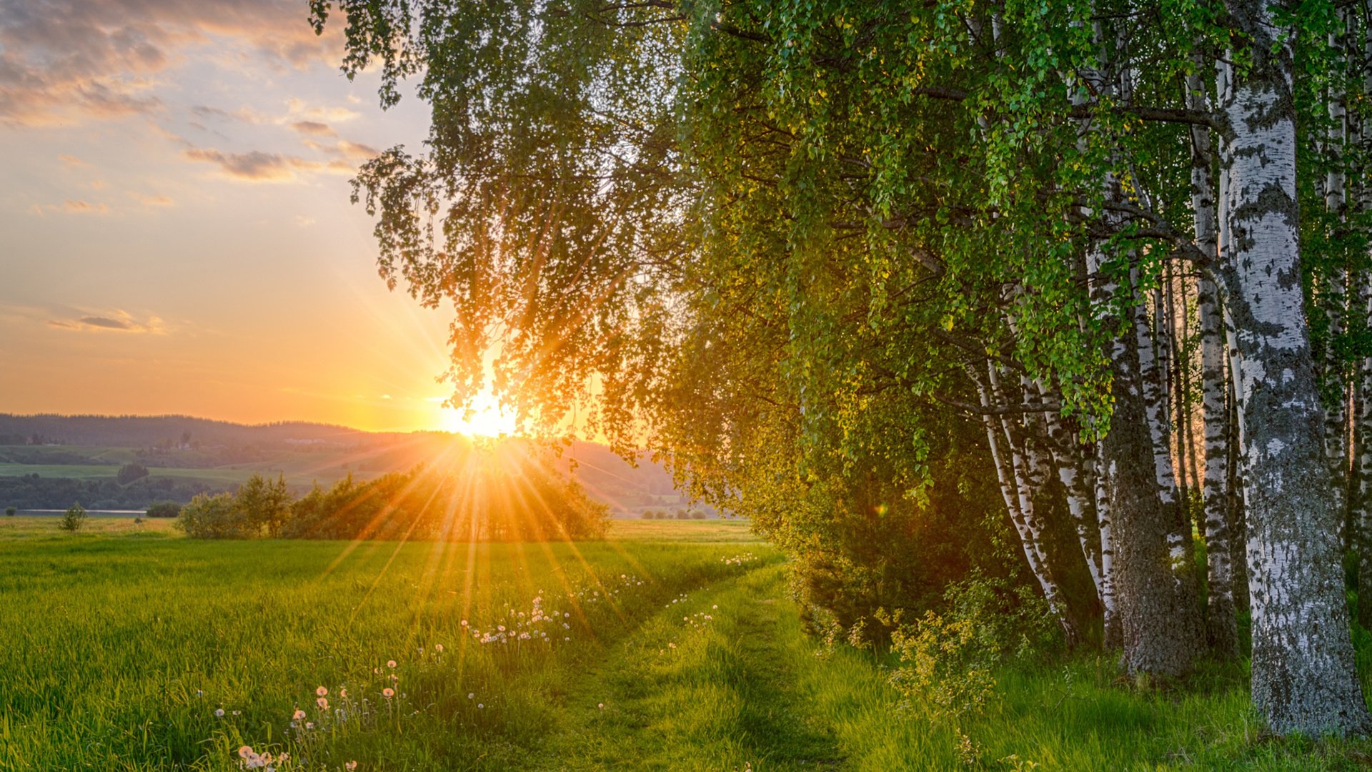 Привет с родины картинки