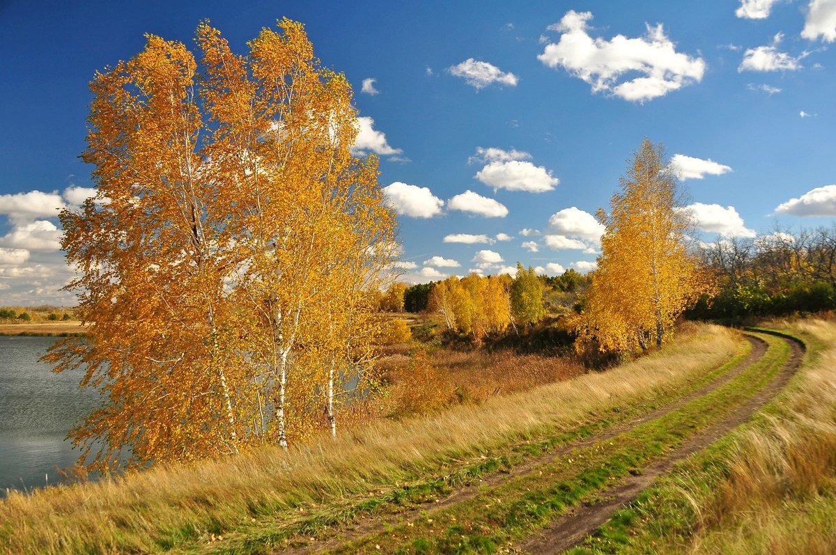 Фото Осенних Пейзажей России