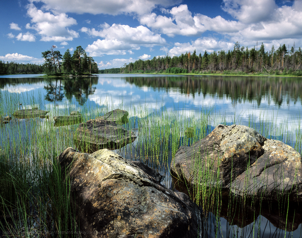 Озеро Север Карелия