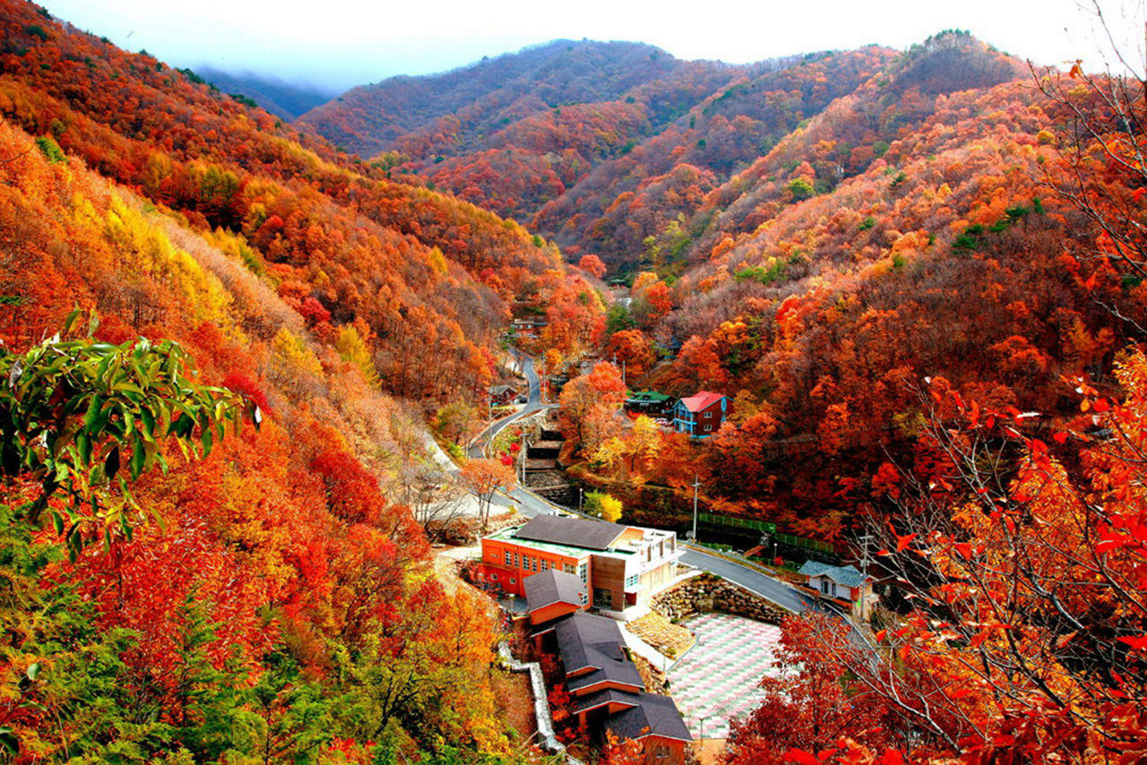 Климат Южной Кореи Сеул