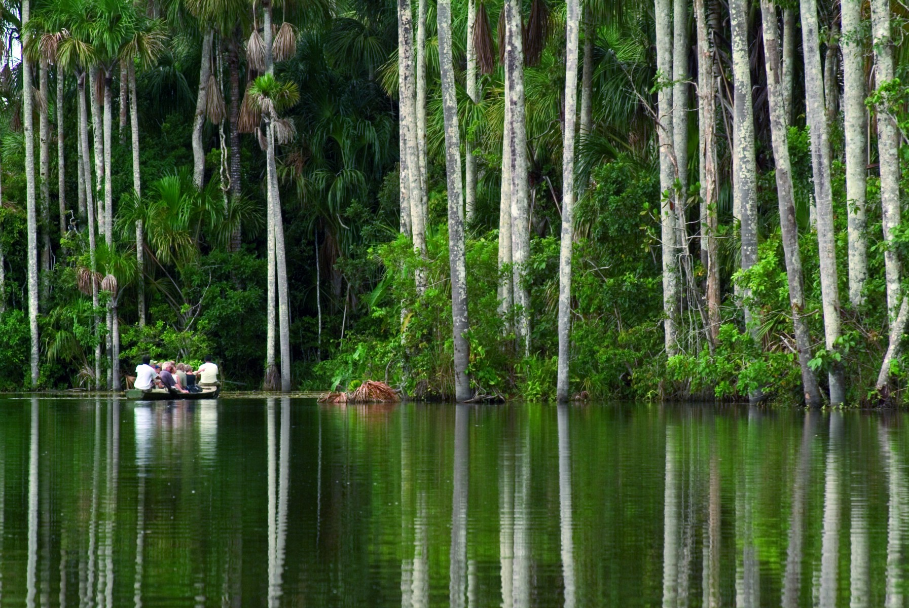 Перуанские джунгли амазонки, Перу