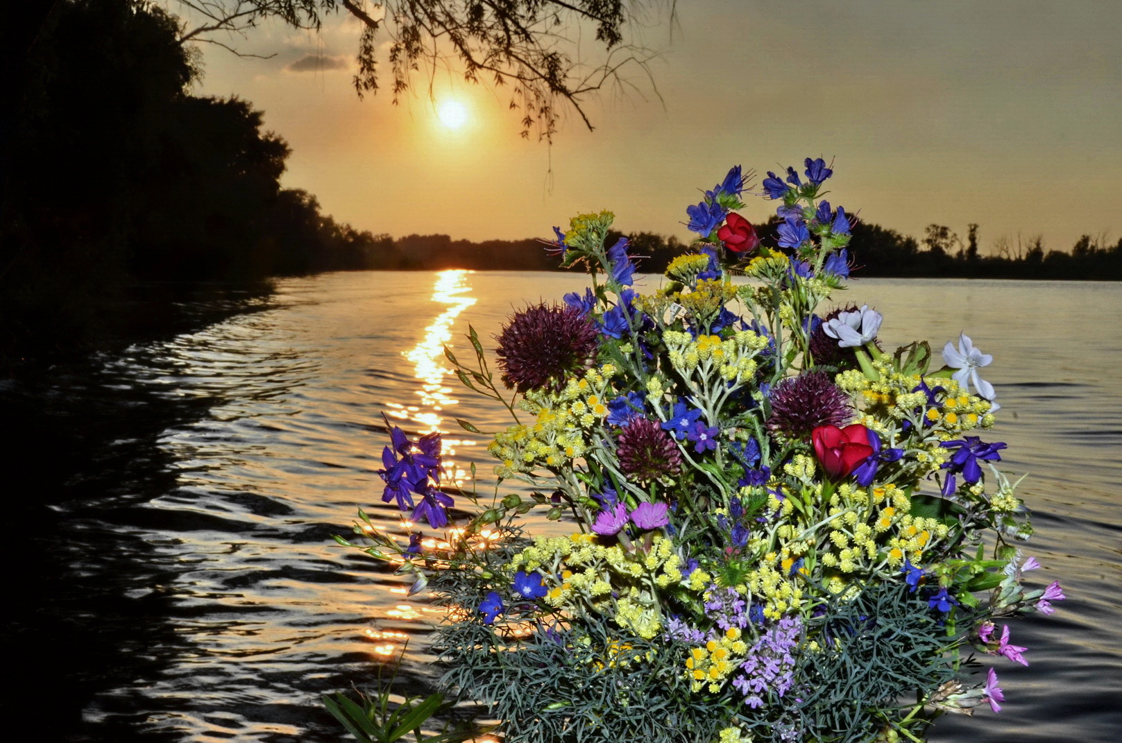 Цветы у реки
