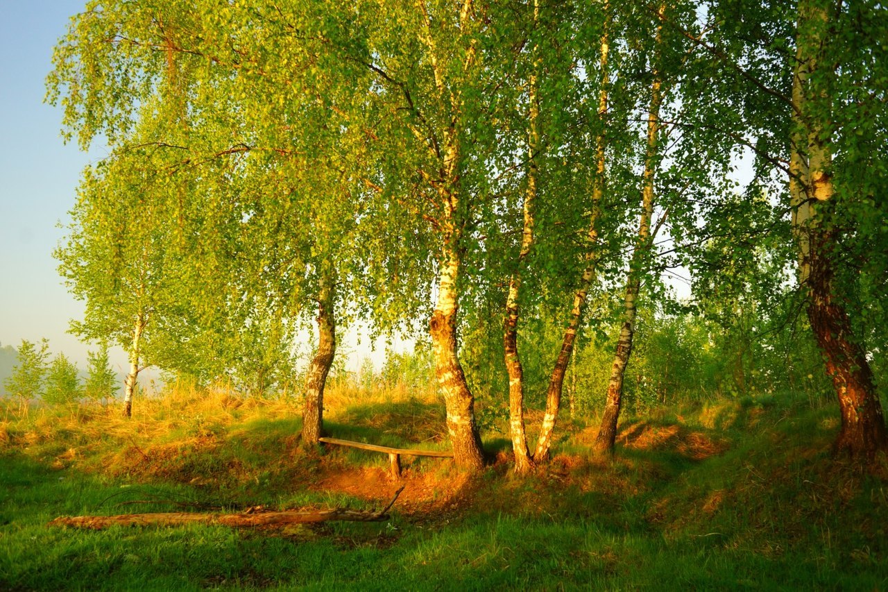 Природа Рязанской области