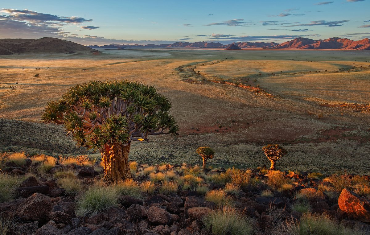Пустыня Намиб природная зона