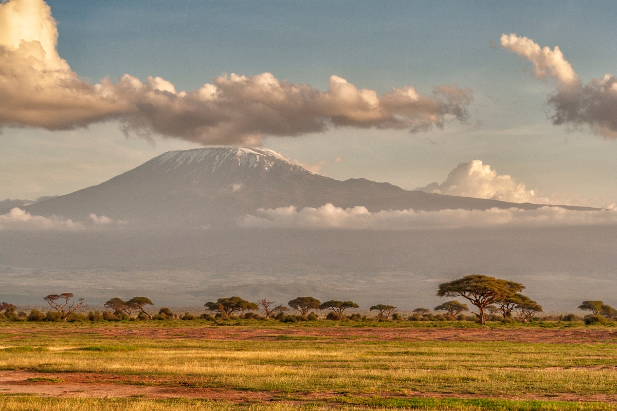 Танзания подножье Килиманджаро