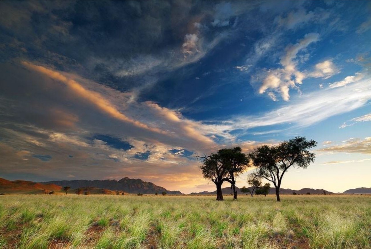 африканский пейзаж фото