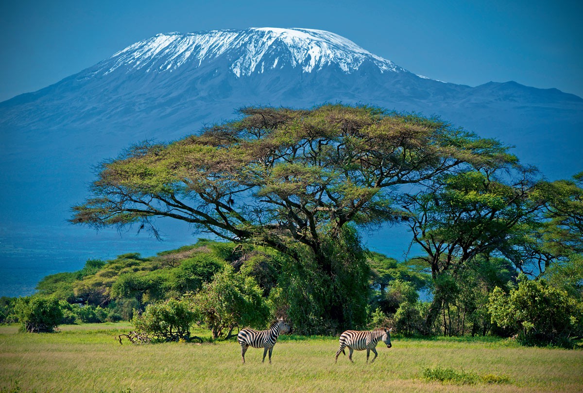 Килиманджаро Занзибар