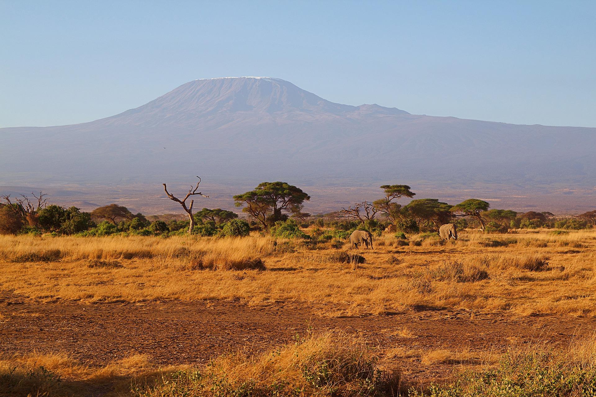 Африка природа Килиманджаро