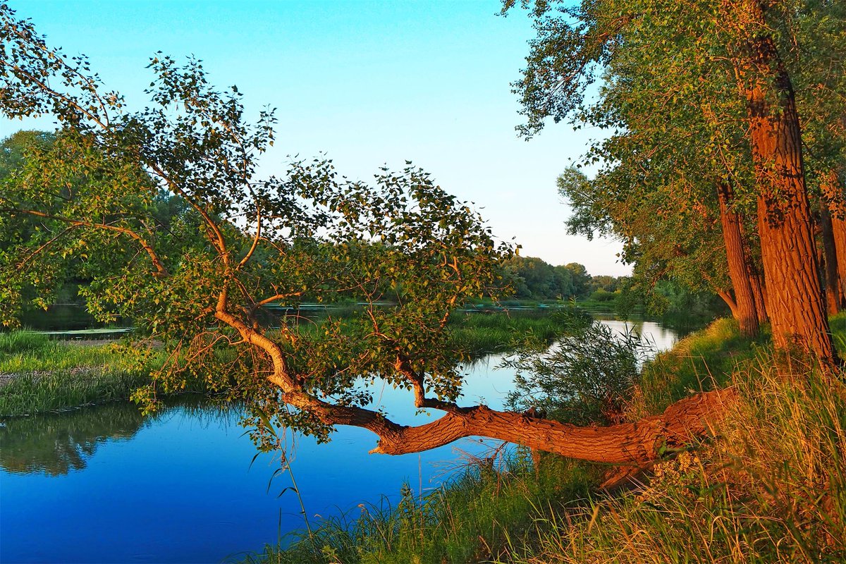 Оренбургская область природа речка