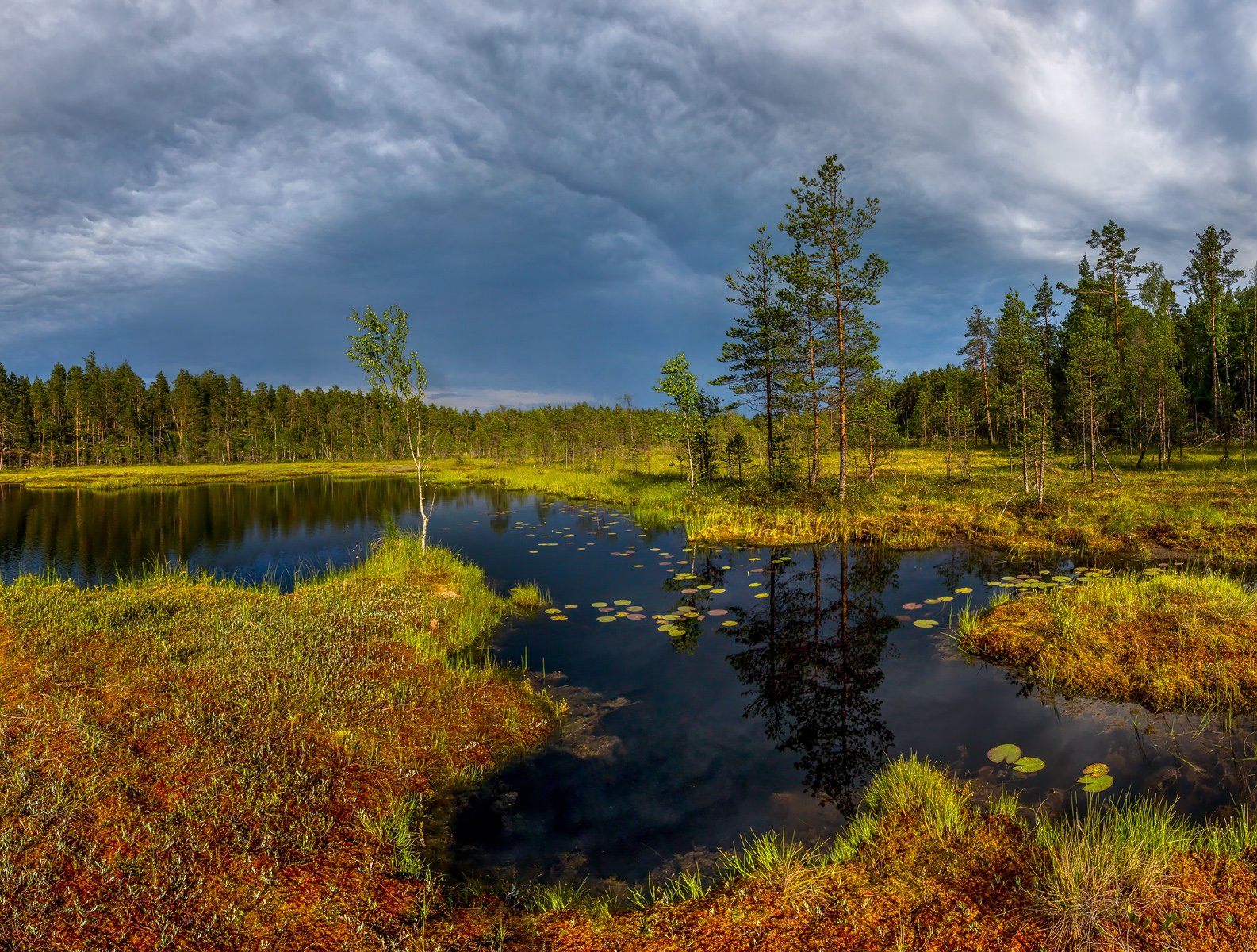 Дикие озера Ленинградской области
