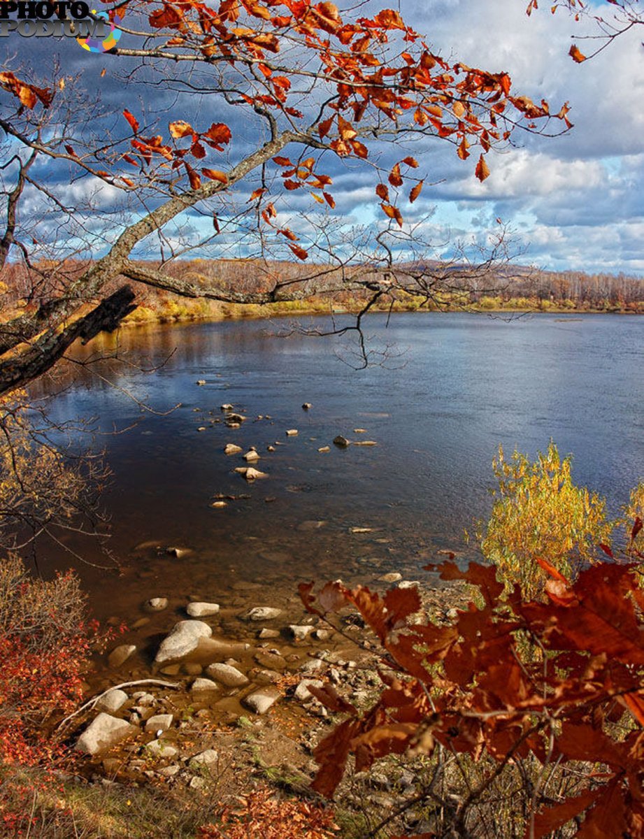 Поздняя осень