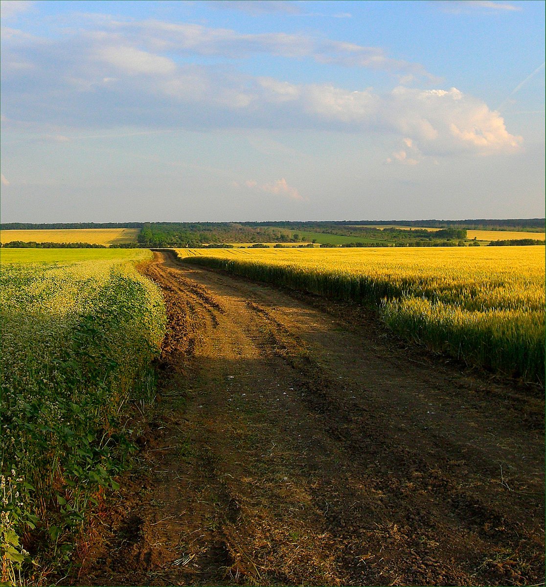 Донской пейзаж Ростовской области