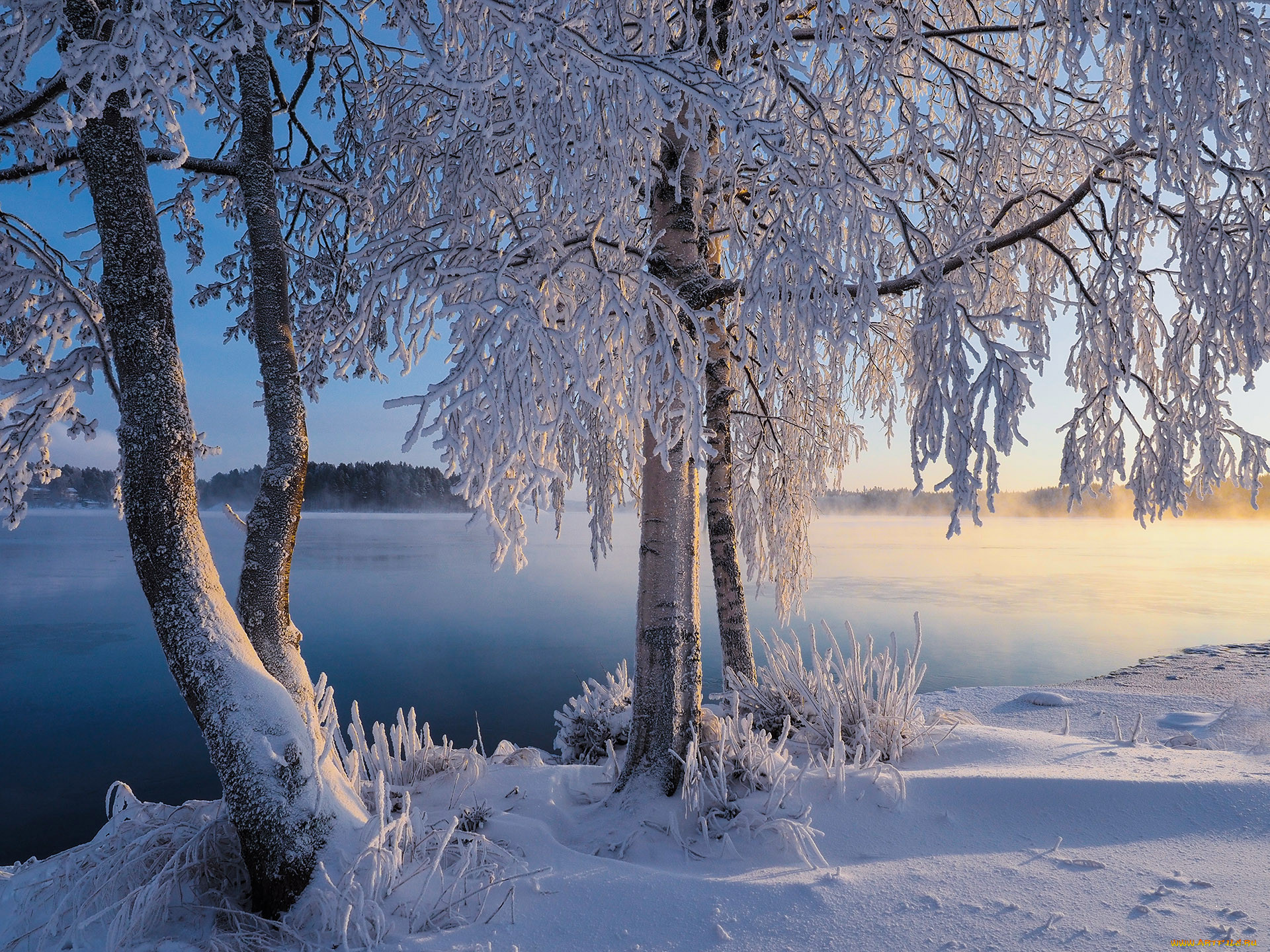 Красивые зимние пейзажи природы