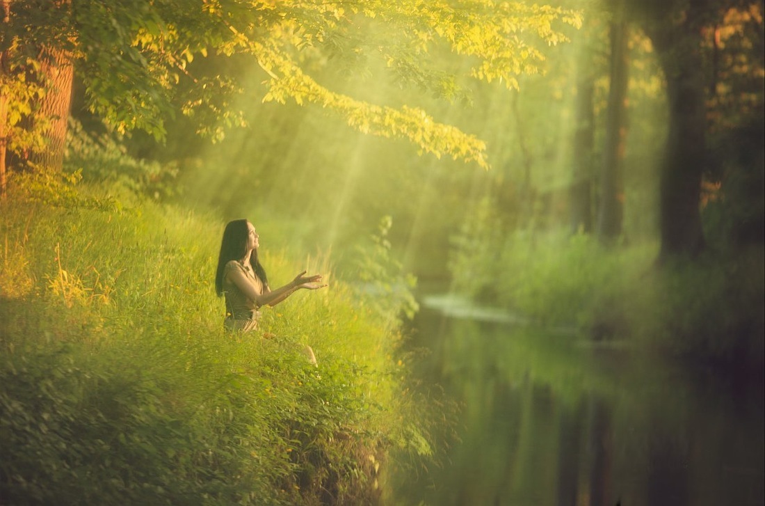 Девушка лес солнце
