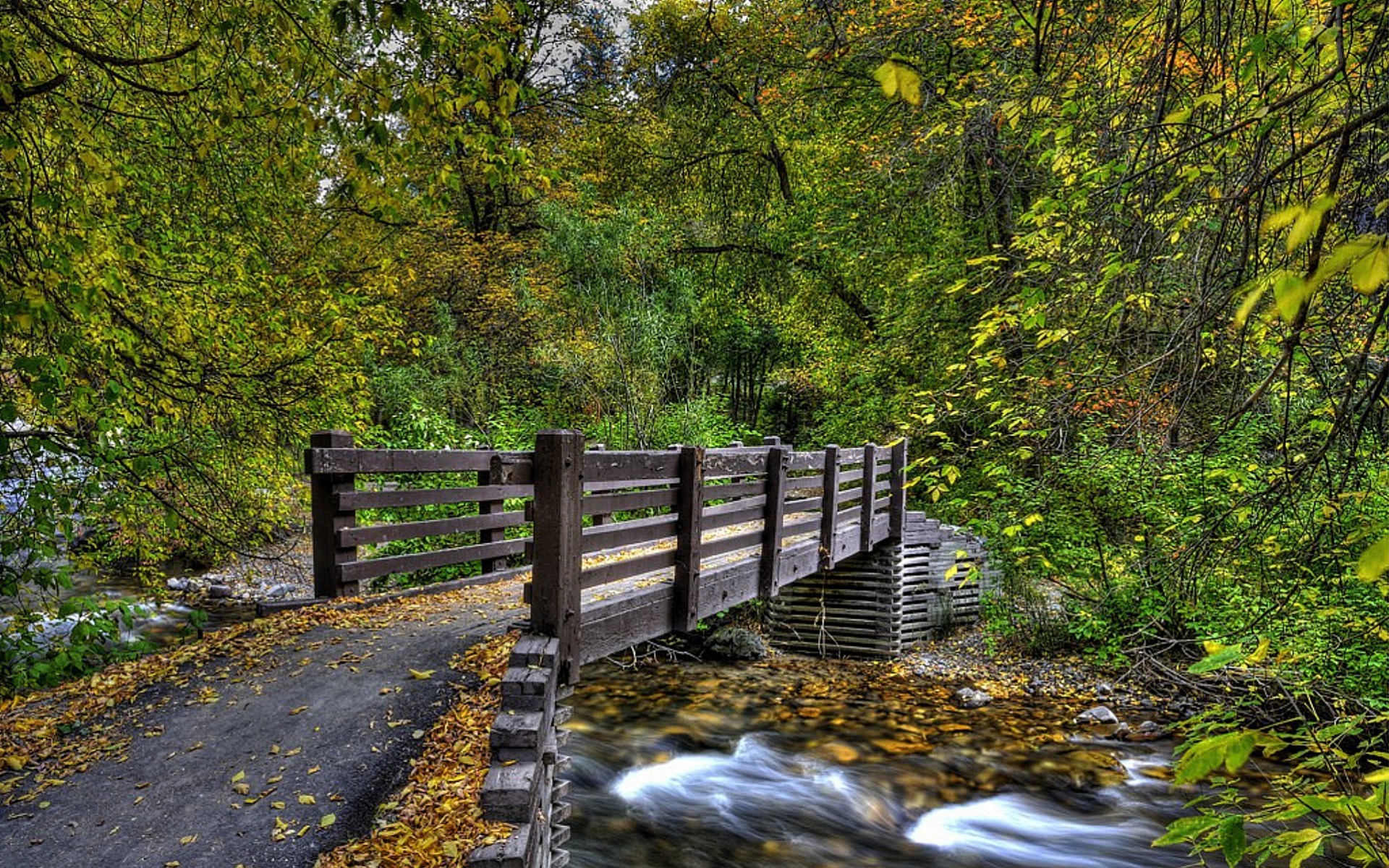 Речка с мостиком в лесу осенью