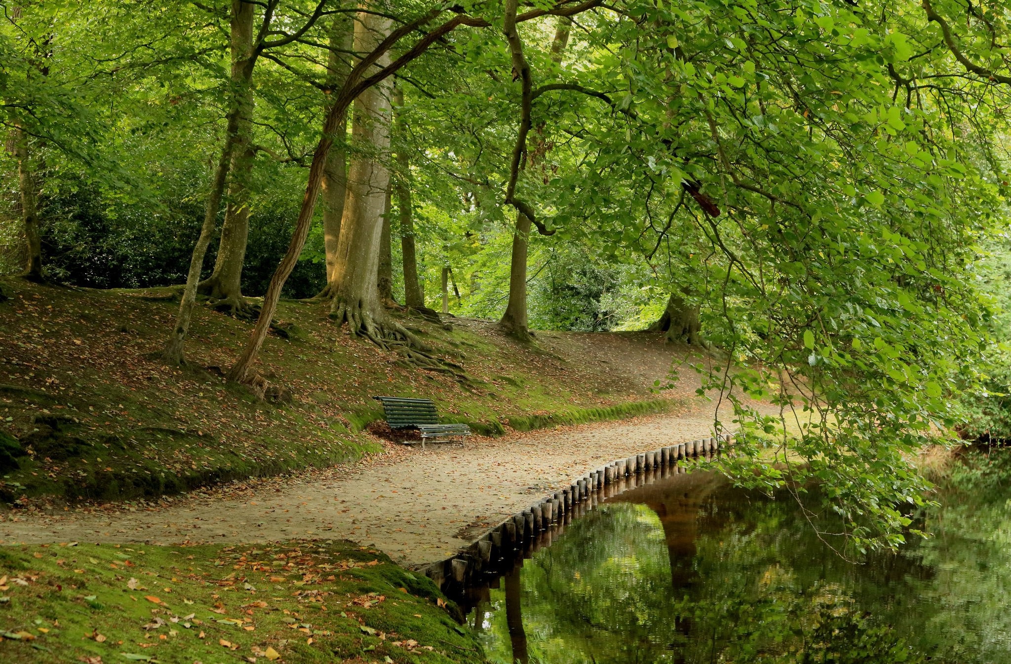 Пейзаж с мостиком в лесу
