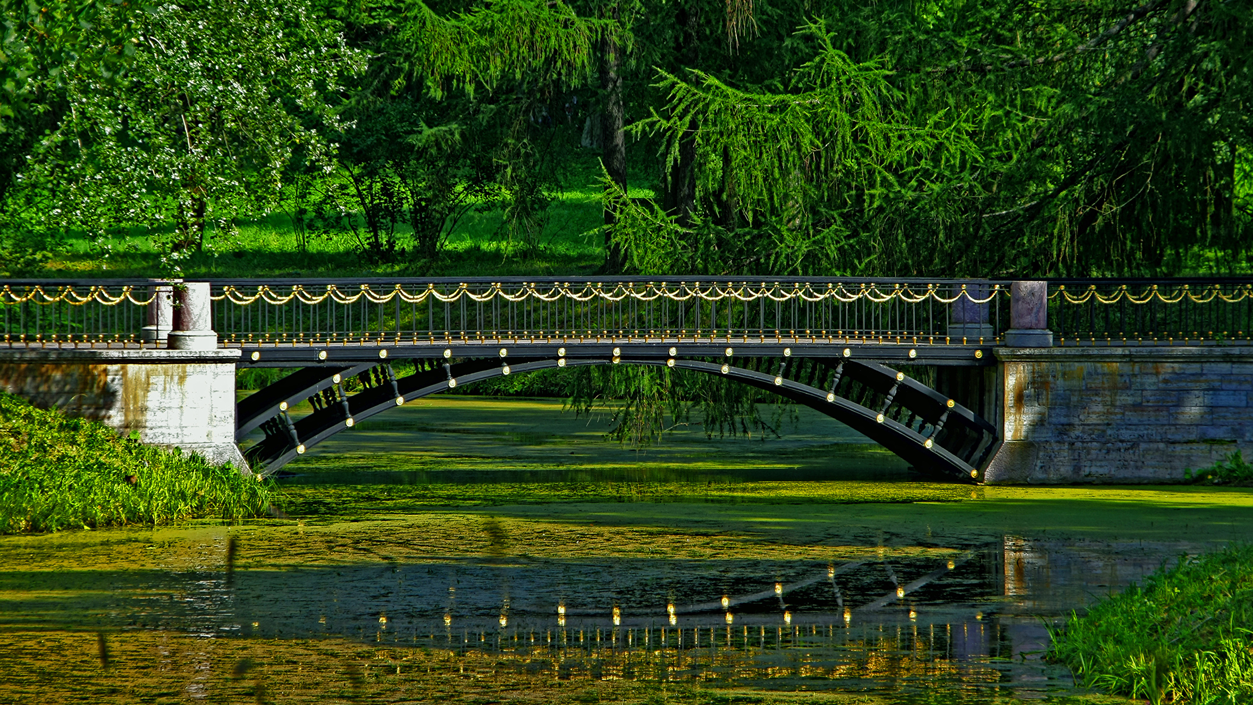 Санкт Петербург парк река