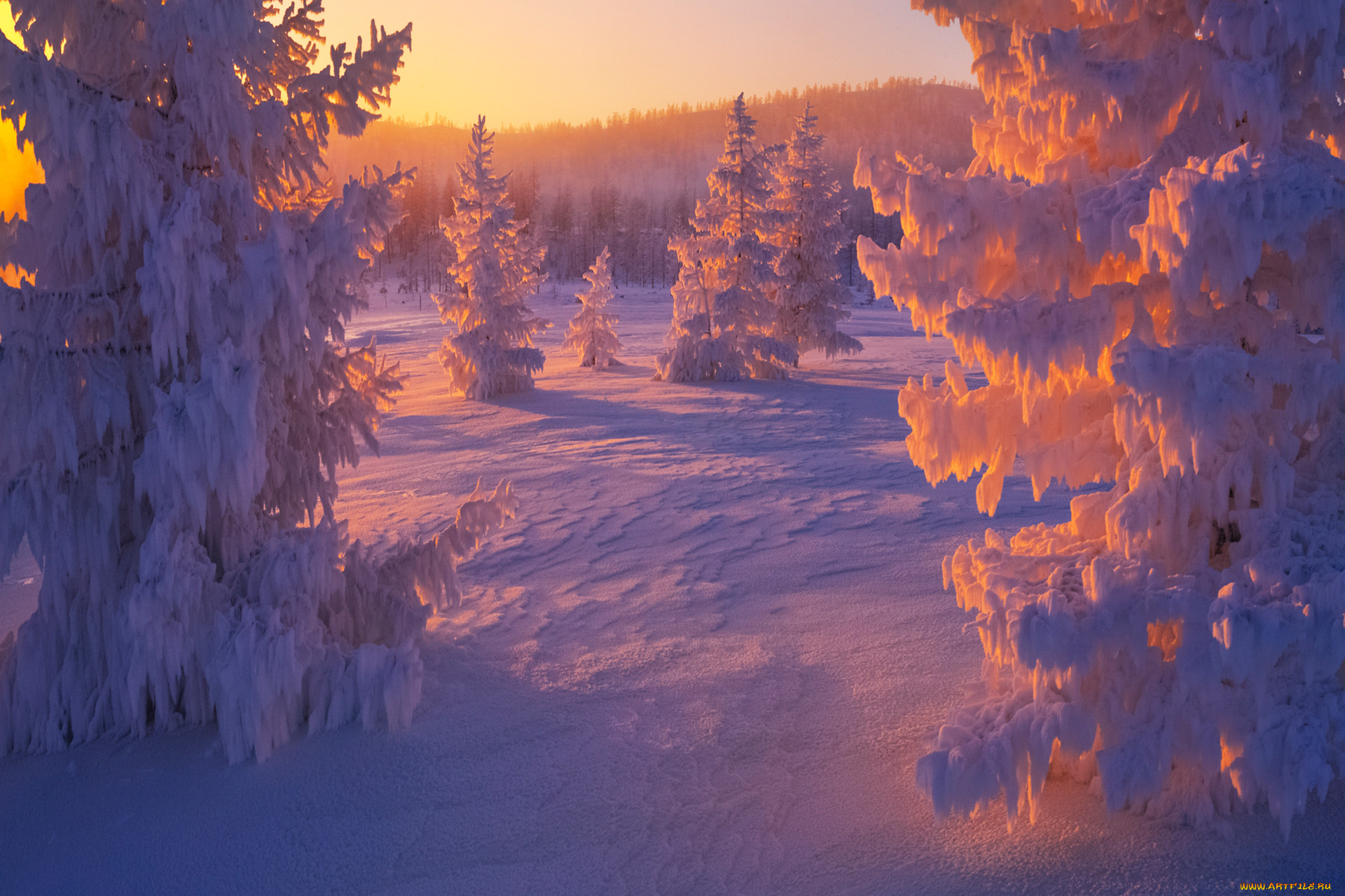 рассвет зимой фото красивые