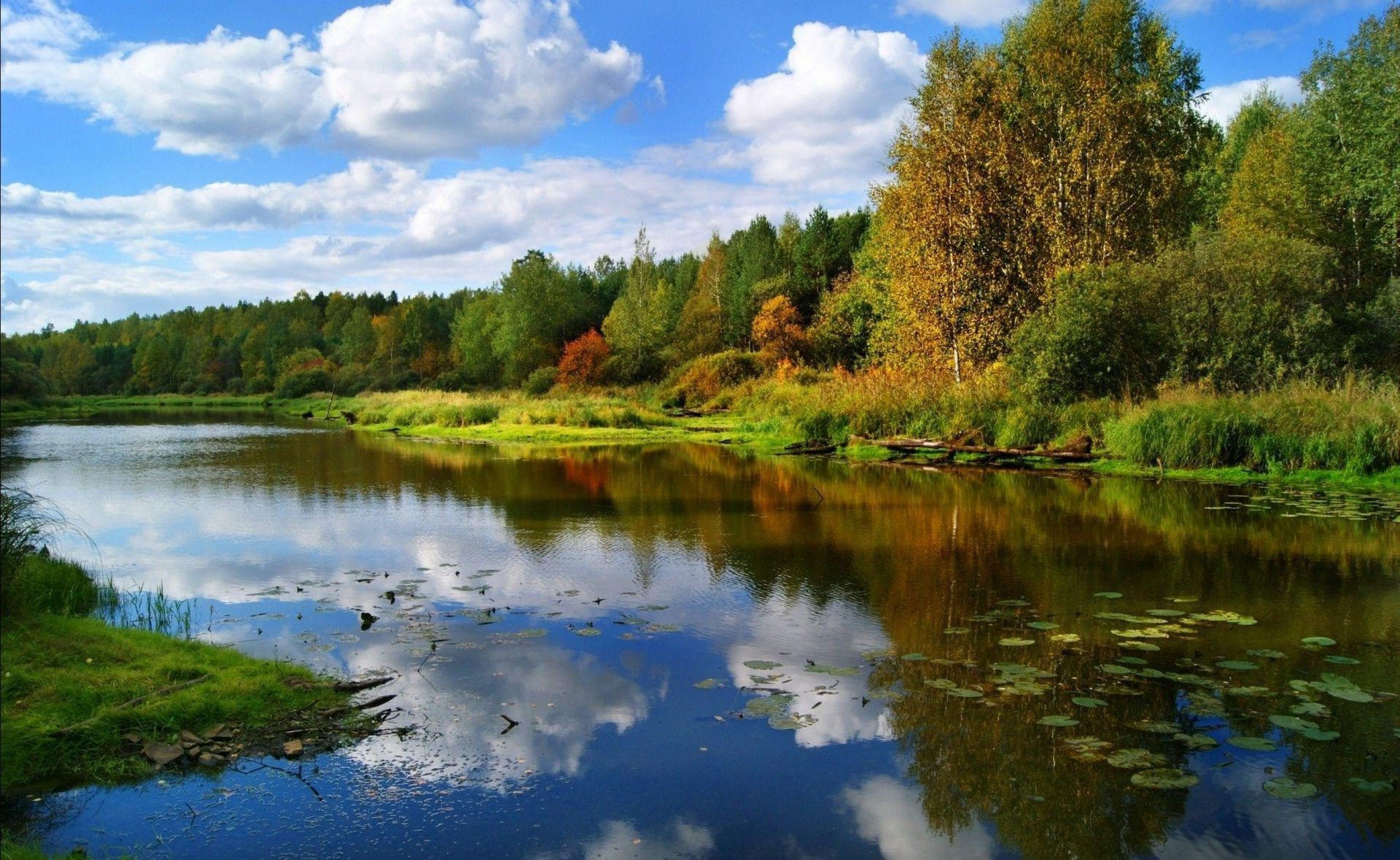 пейзажи природы лето берег реки фото