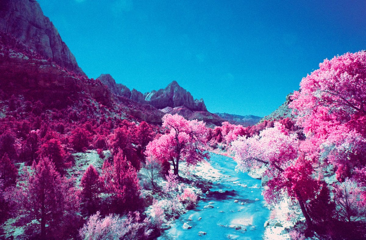 Розовая Природа