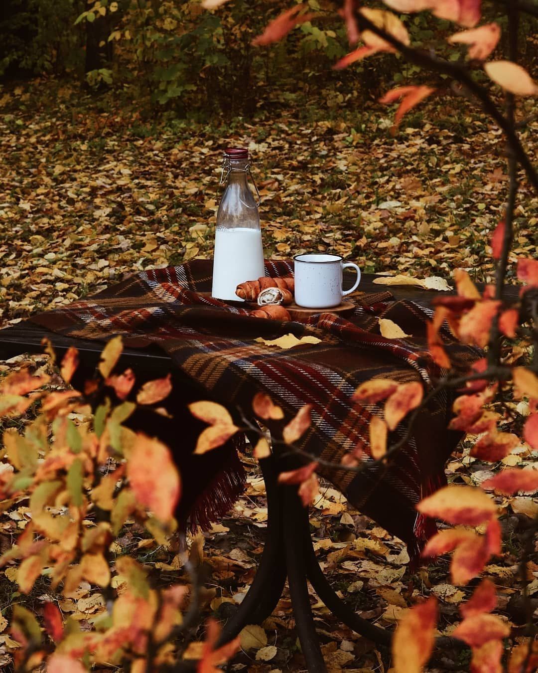 Кофе осенью на природе