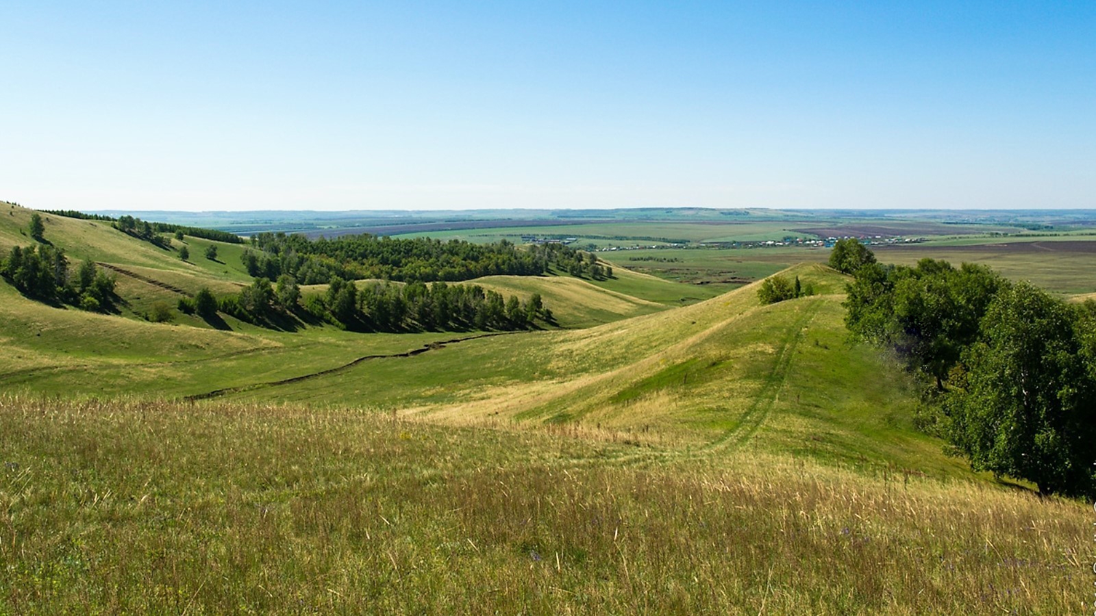 Вязовские горы в Татарстане