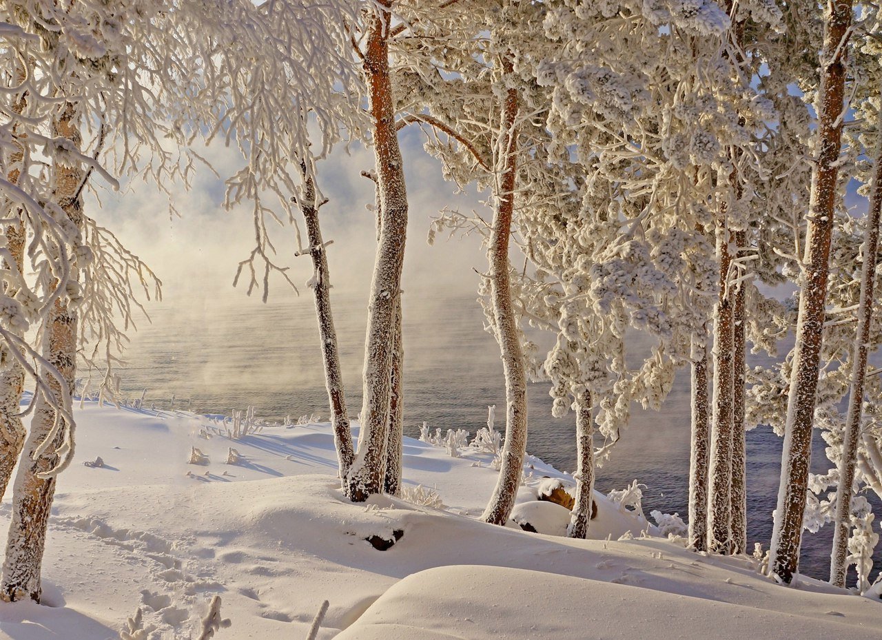 Природа Сибири зима