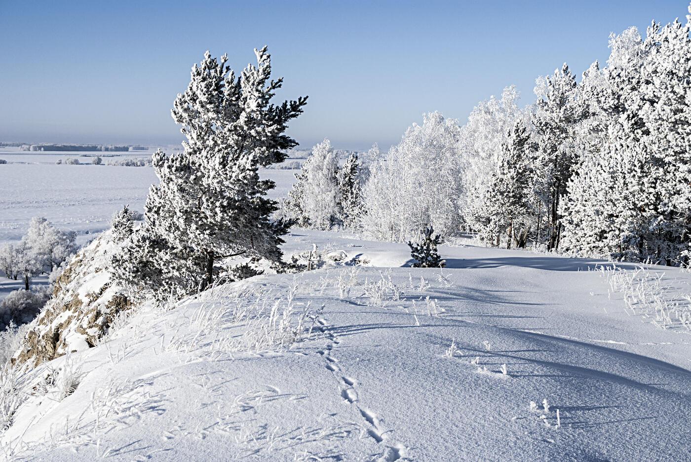 Зимний пейзаж Сибирь