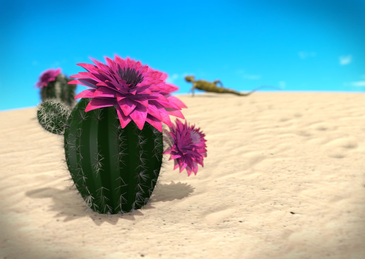 Цветок пустыни Кактус