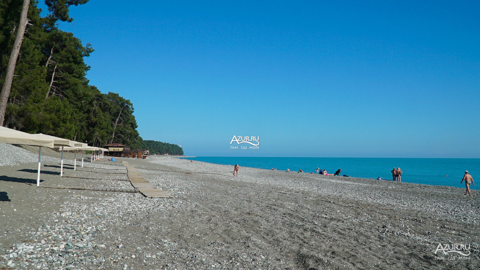 Пицунда Абхазия пляж с соснами