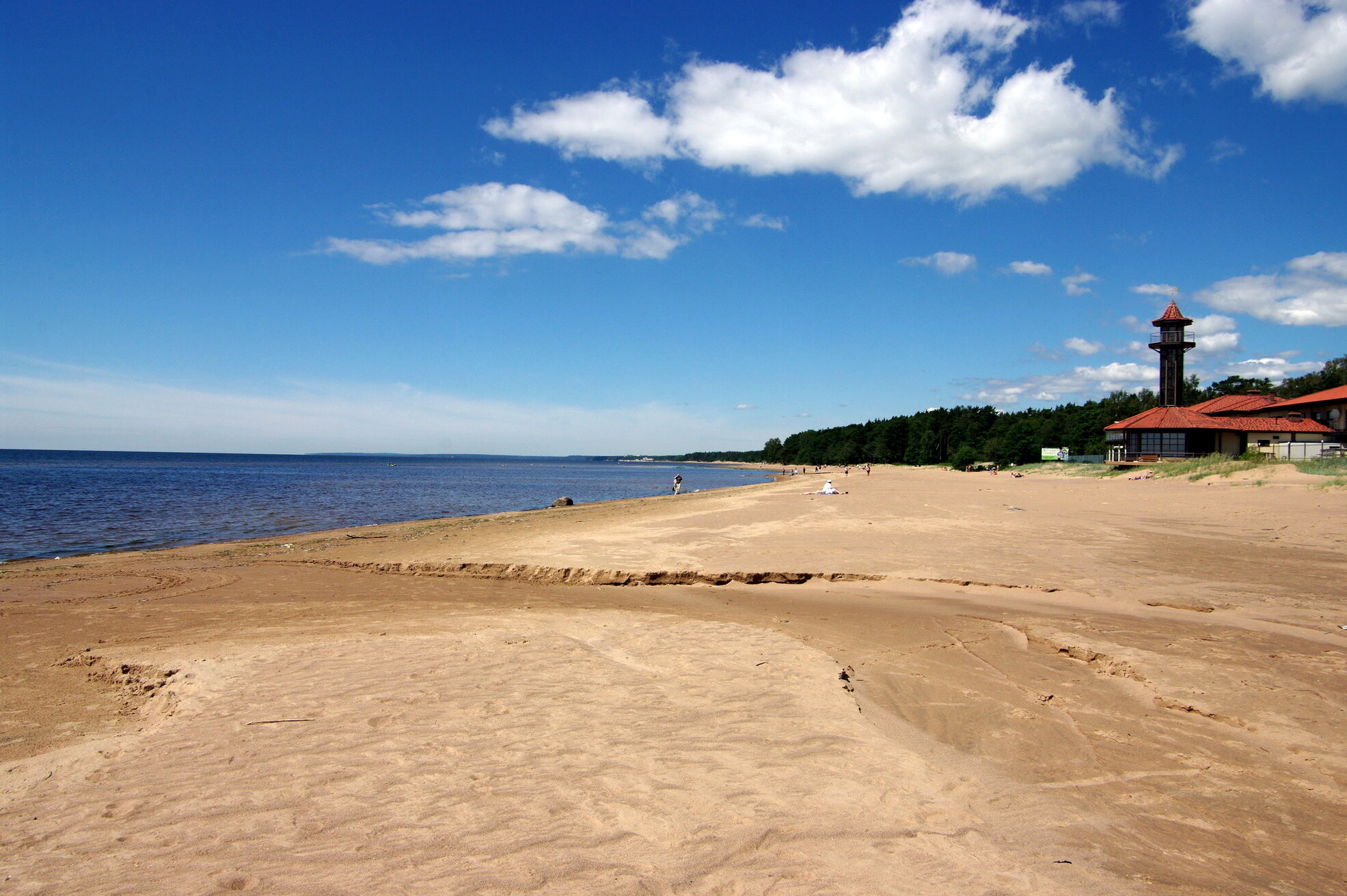 пляж дюны в сестрорецке