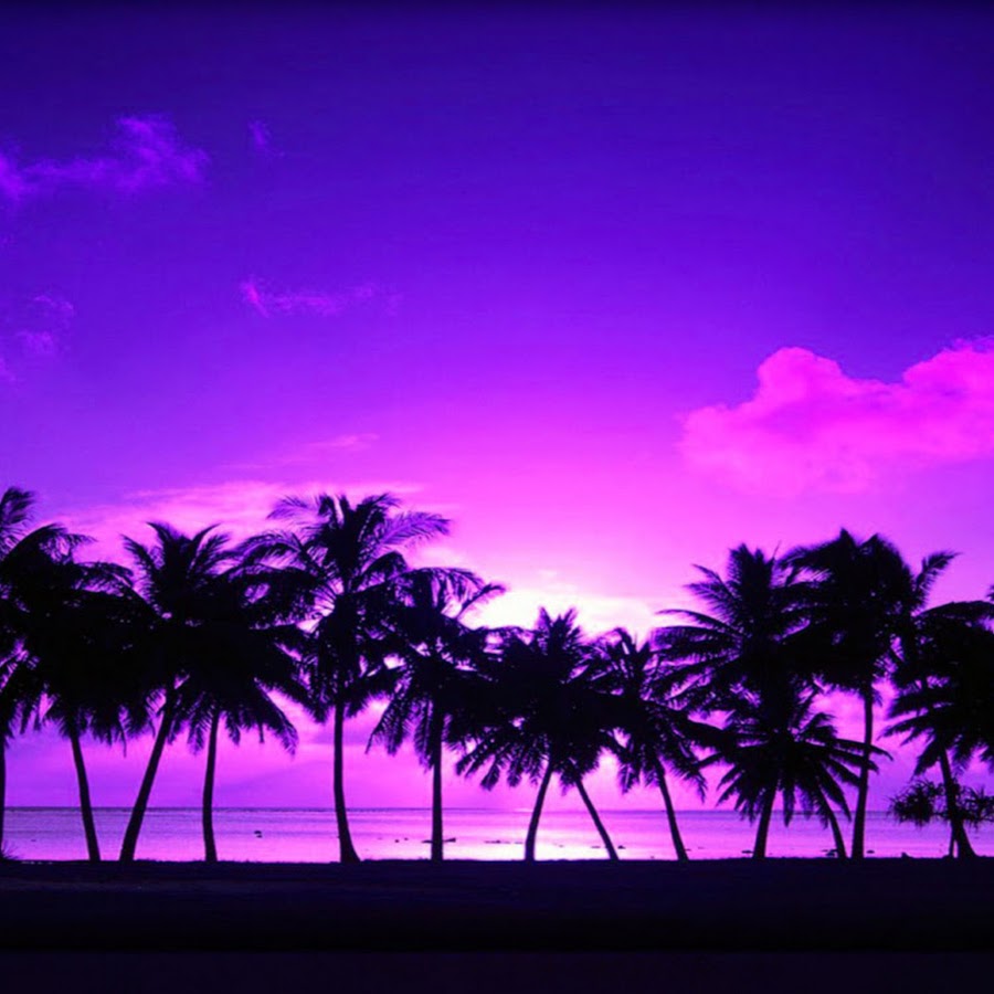 Пальмы фиолетовое небо